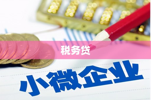 宁洱税务贷