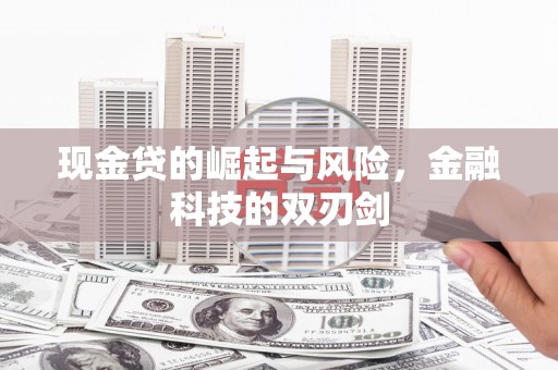 宁洱现金贷的崛起与风险，金融科技的双刃剑