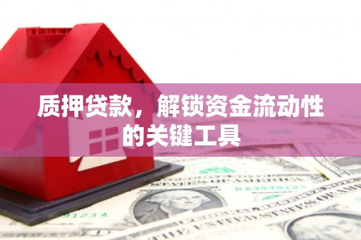 宁洱质押贷款，解锁资金流动性的关键工具