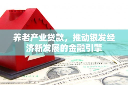 宁洱养老产业贷款，推动银发经济新发展的金融引擎