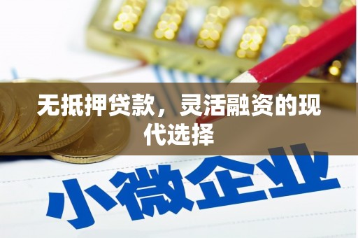 宁洱无抵押贷款，灵活融资的现代选择