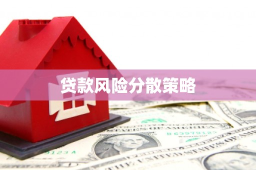 宁洱贷款风险分散策略