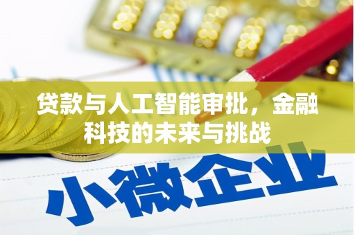 宁洱贷款与人工智能审批，金融科技的未来与挑战