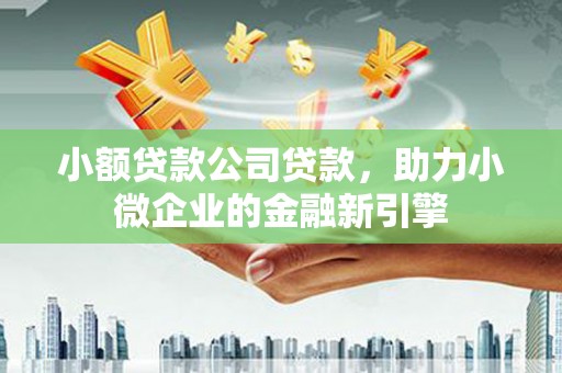 宁洱小额贷款公司贷款，助力小微企业的金融新引擎