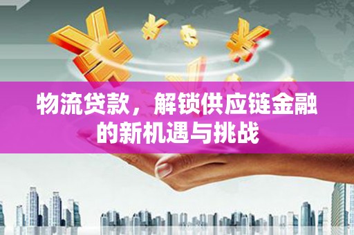 宁洱物流贷款，解锁供应链金融的新机遇与挑战