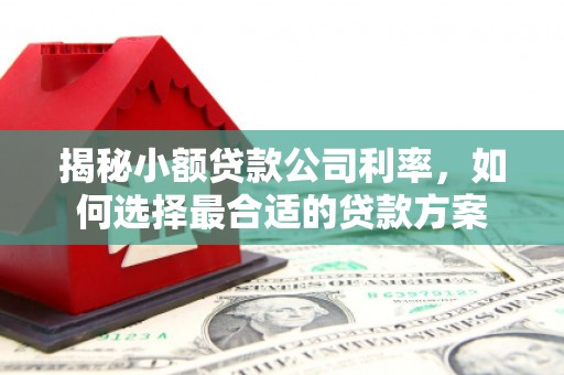 宁洱揭秘小额贷款公司利率，如何选择最合适的贷款方案
