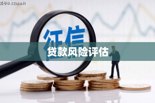 宁洱贷款风险评估