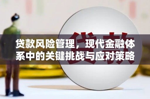 宁洱贷款风险管理，现代金融体系中的关键挑战与应对策略
