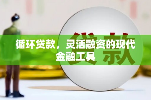 宁洱循环贷款，灵活融资的现代金融工具