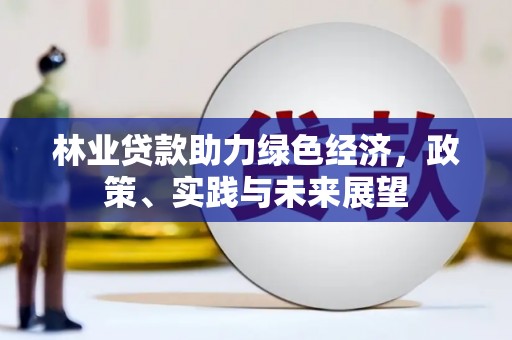 宁洱林业贷款助力绿色经济，政策、实践与未来展望
