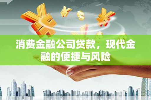 宁洱消费金融公司贷款，现代金融的便捷与风险