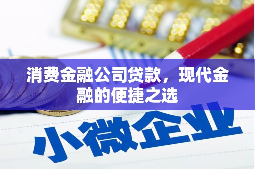 宁洱消费金融公司贷款，现代金融的便捷之选