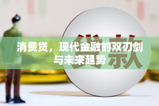 宁洱消费贷，现代金融的双刃剑与未来趋势